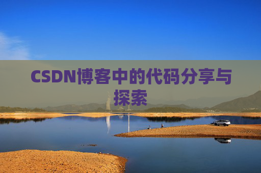 CSDN博客中的代码分享与探索